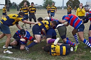 reportage-rugby (18)